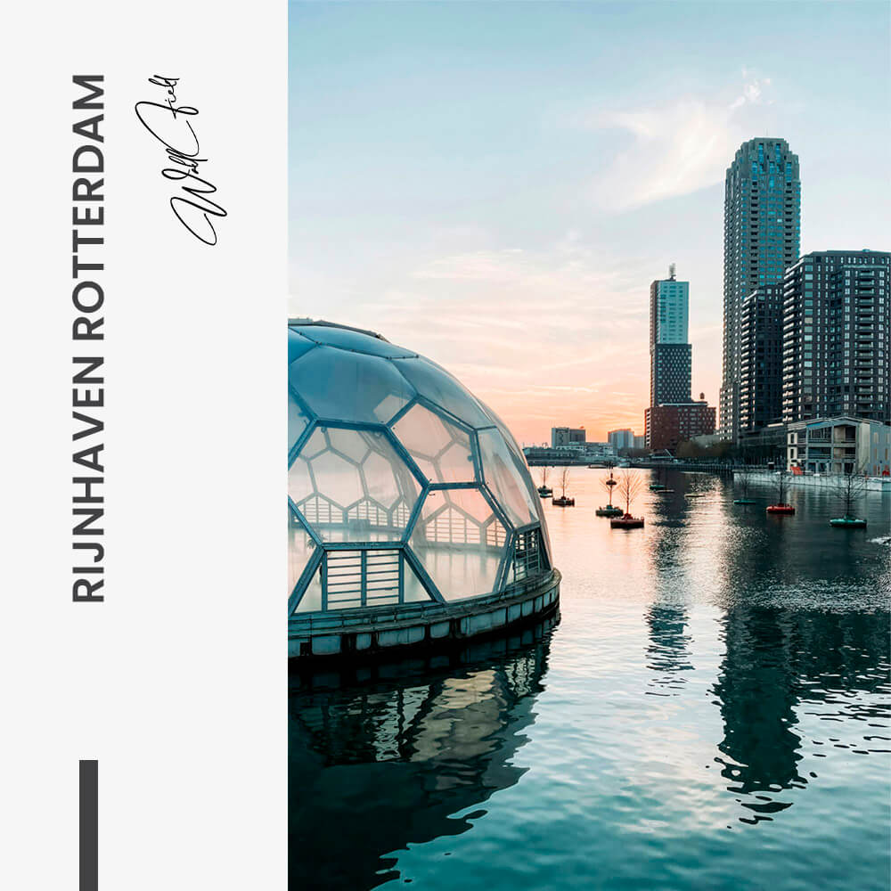 Rijnhaven Rotterdam – Verre