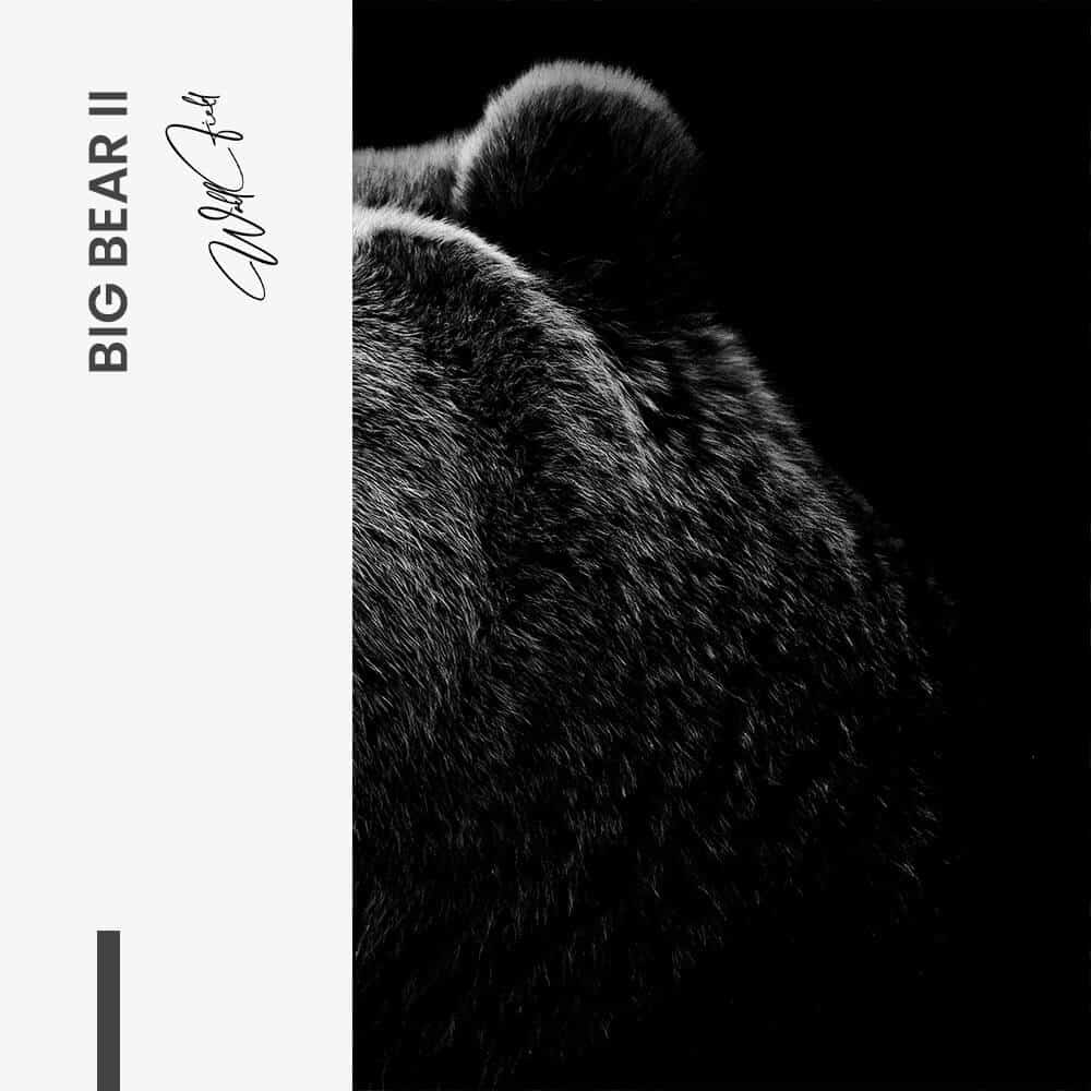Bundle: "Big Bear" (2x) – Verre