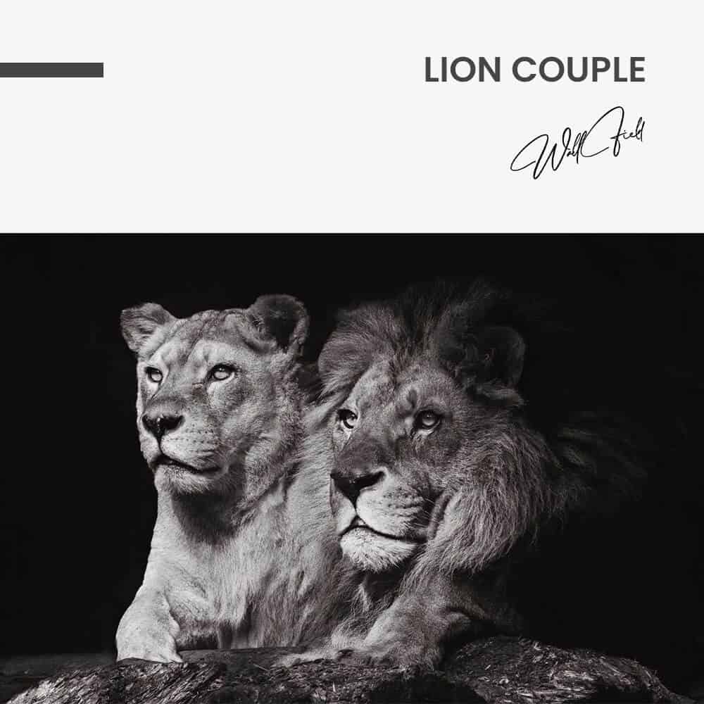 Lion Couple – Verre