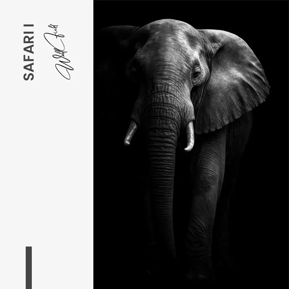 Safari I – Verre