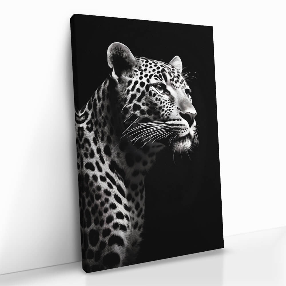 “Leopard Black”