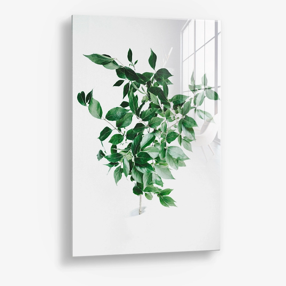 Green Construct – Verre