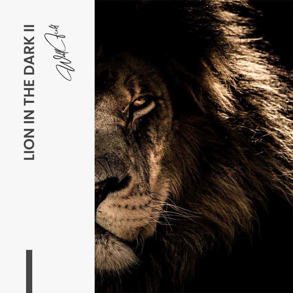 Lion in the Dark (2x) - Verre