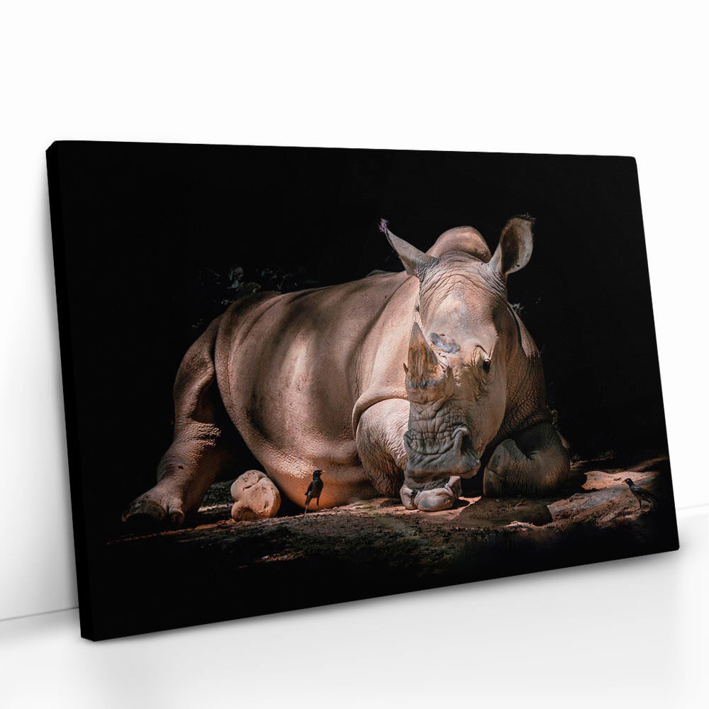 "Rhino"