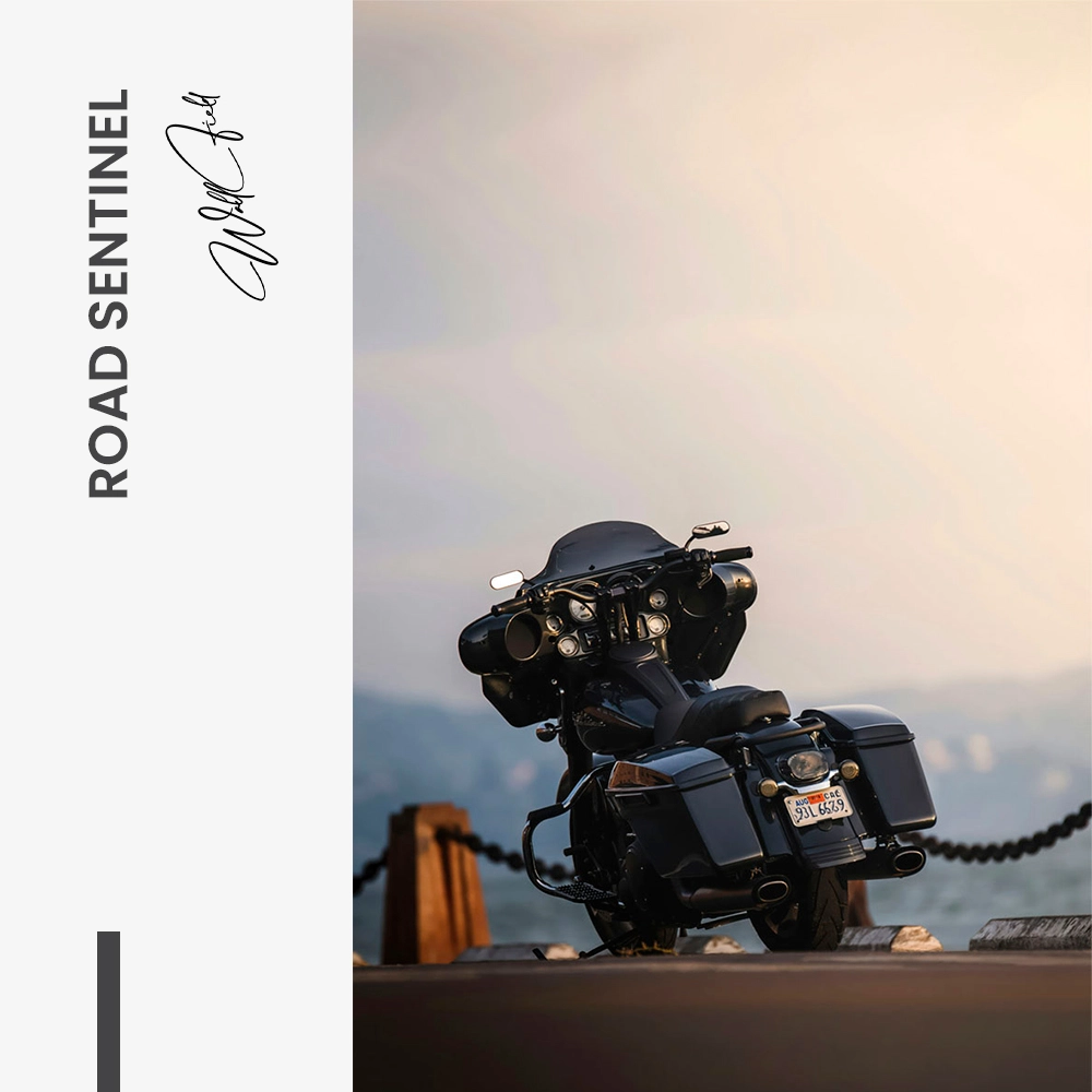 Road Sentinel – Verre