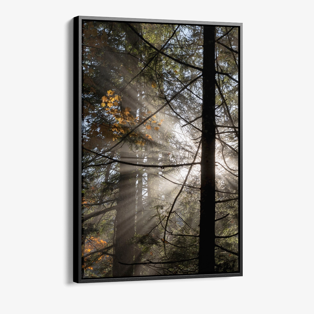 "Line of Light"