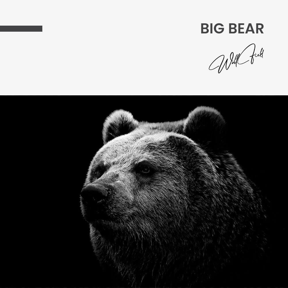 Big Bear – Verre