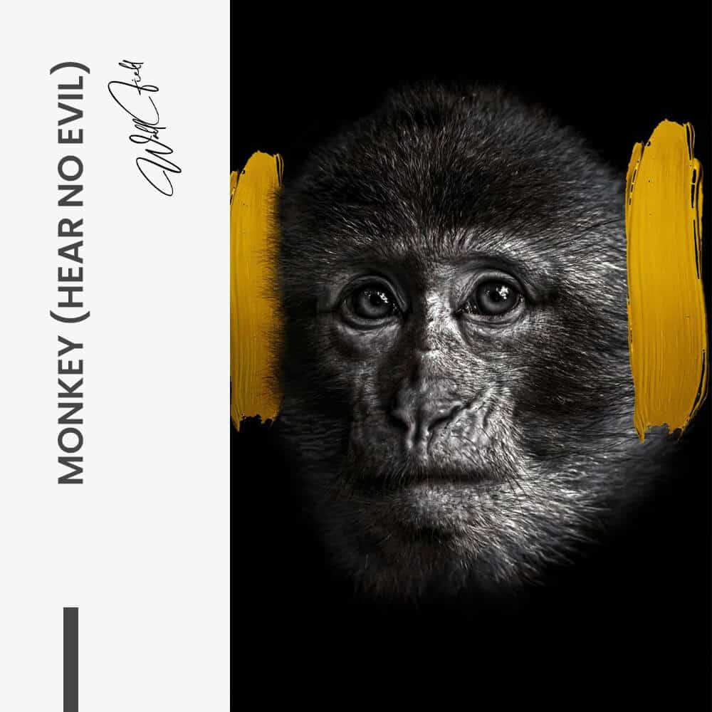 "Monkey (hear no evil)"