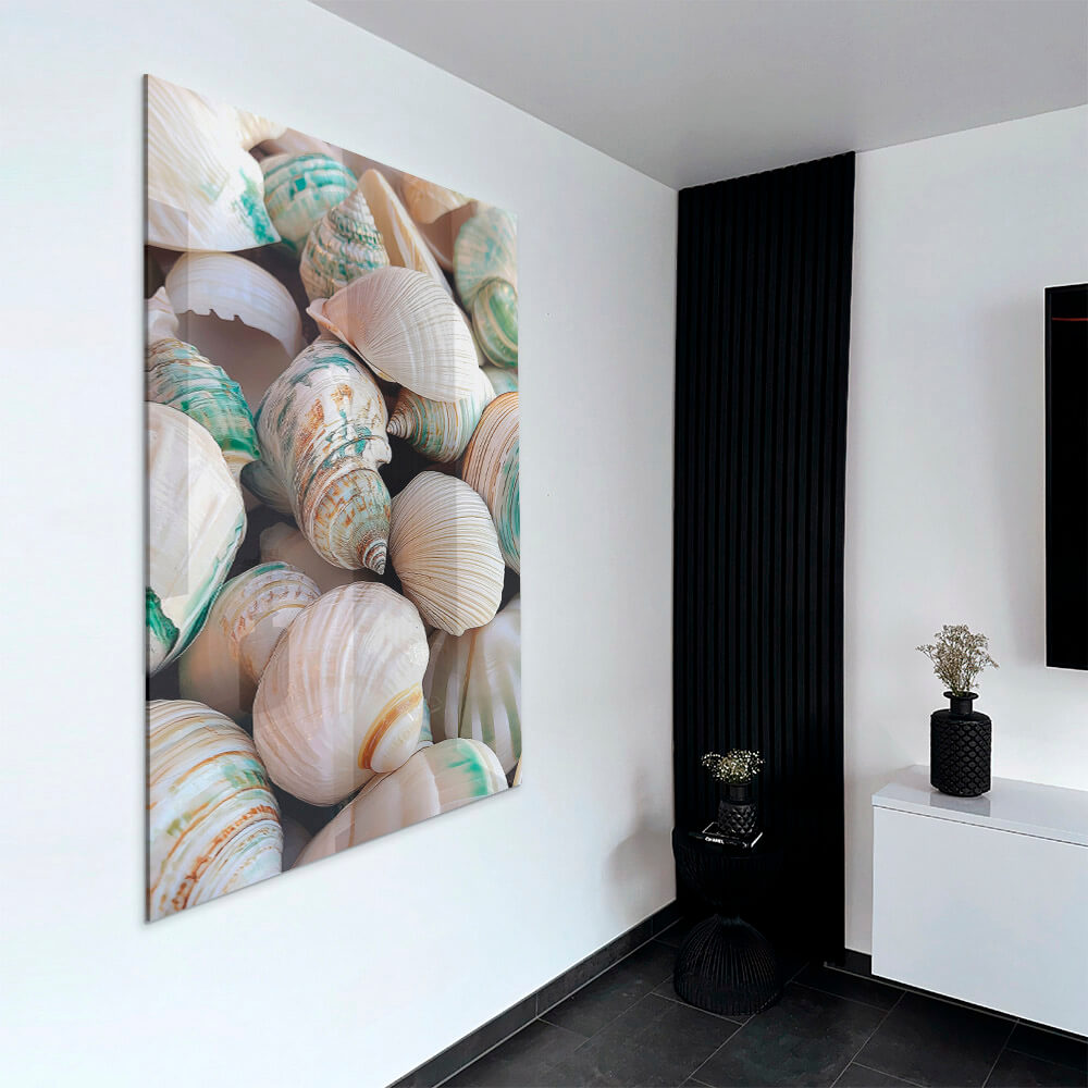Sea Shell – Verre