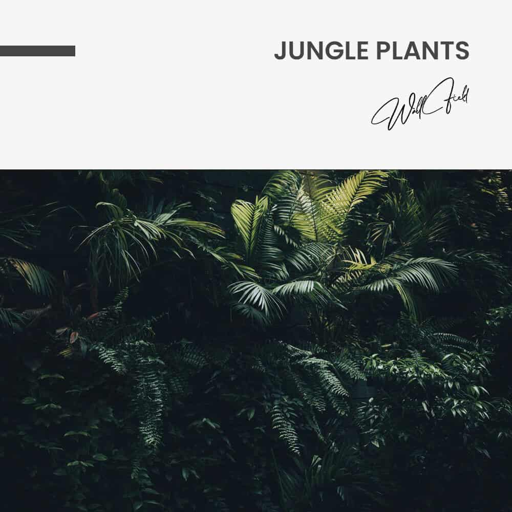 Jungle plants - Verre