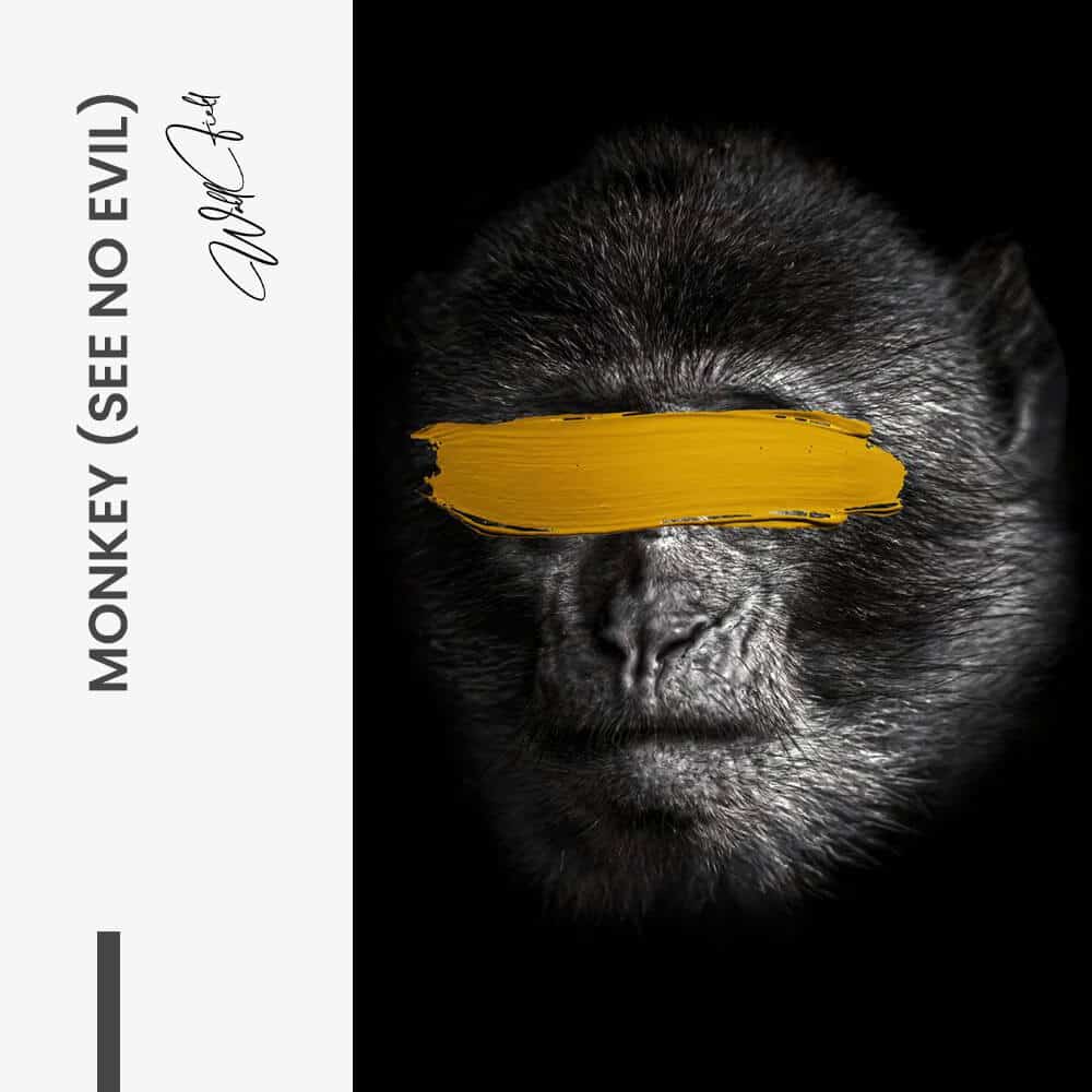 Monkey (see no evil) - Verre