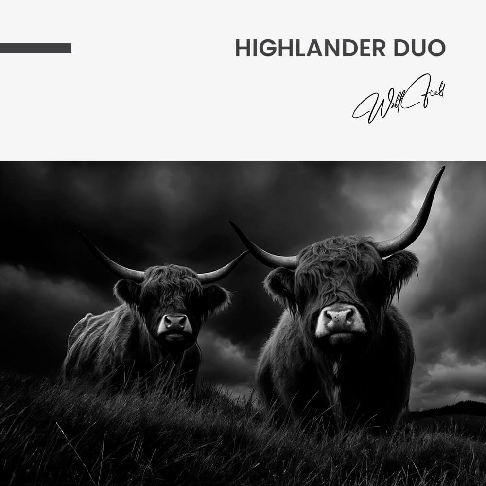 Highlander Duo – Verre