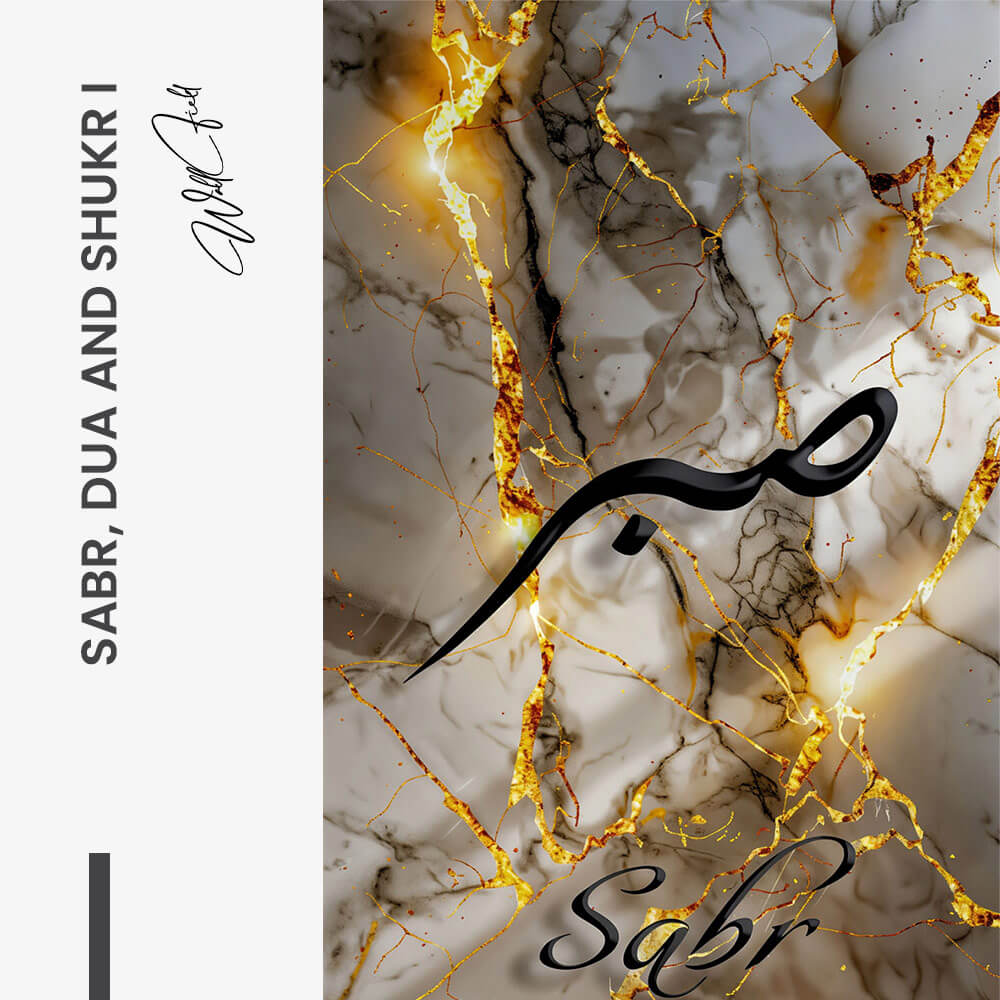 Bundle: "Splash" (3x) – Verre