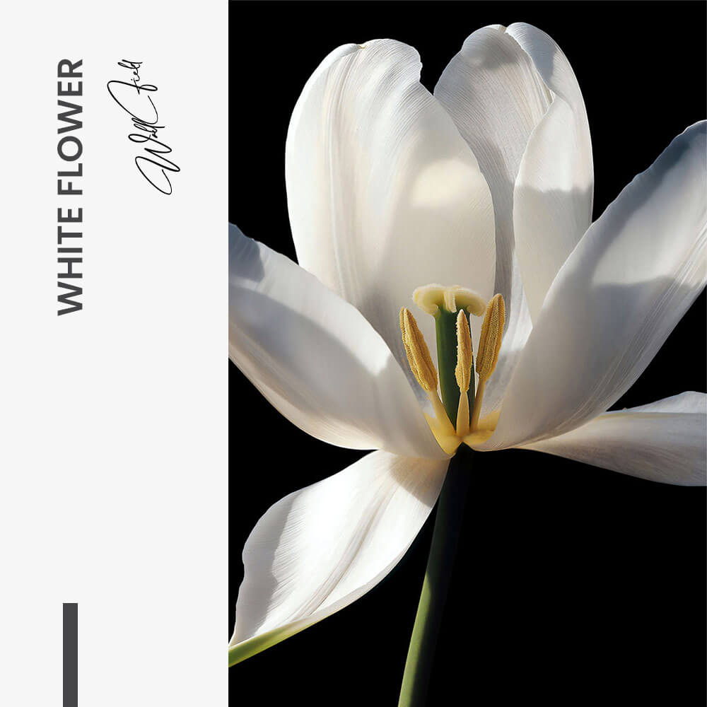 White Flower – Verre
