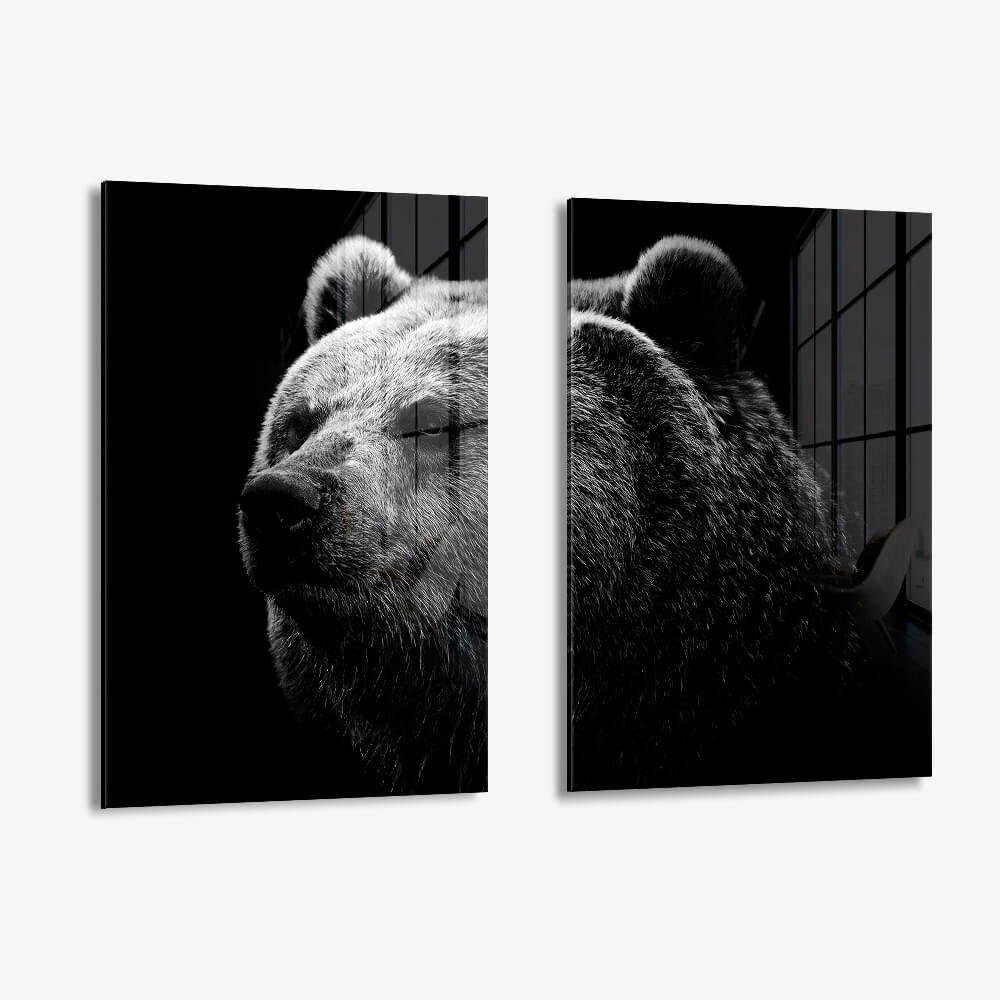 Bundle: "Big Bear" (2x) – Verre