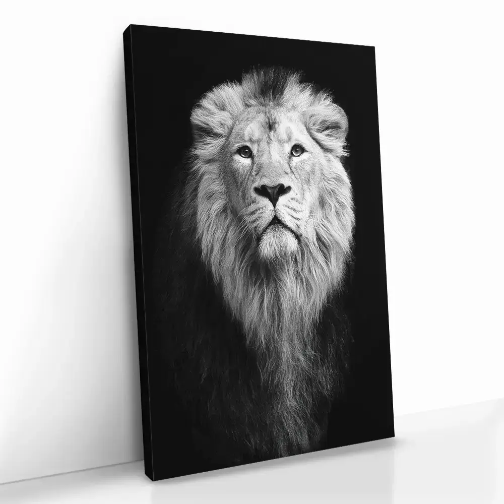 "Safari III"