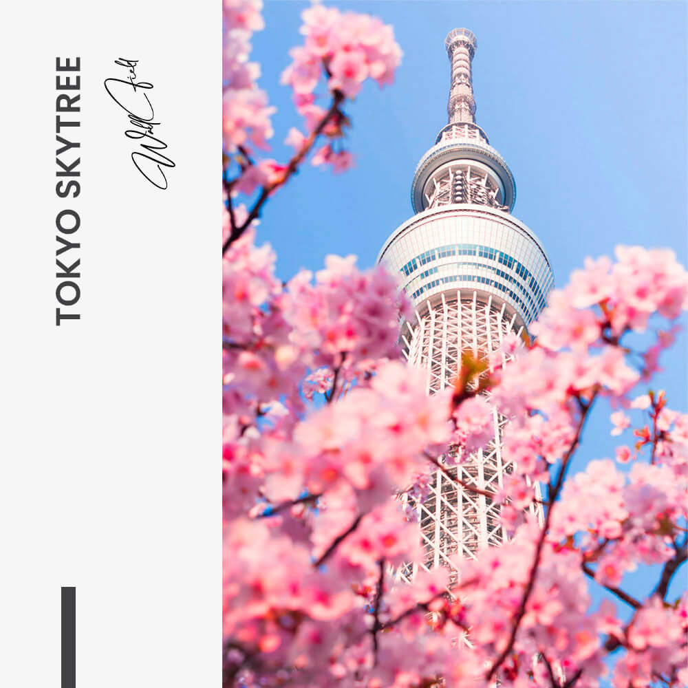 Tokyo Skytree – Verre
