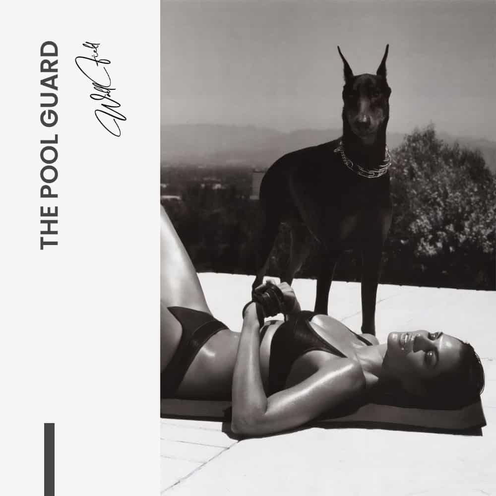 The Pool Guard – Verre