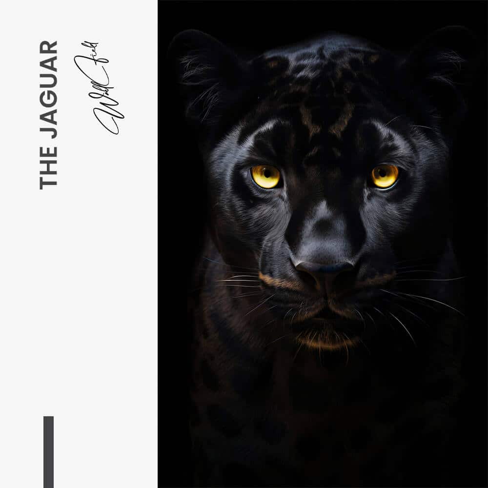 The Jaguar – Verre