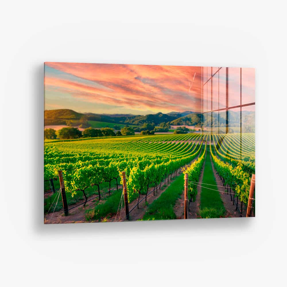 Vineyard – Verre