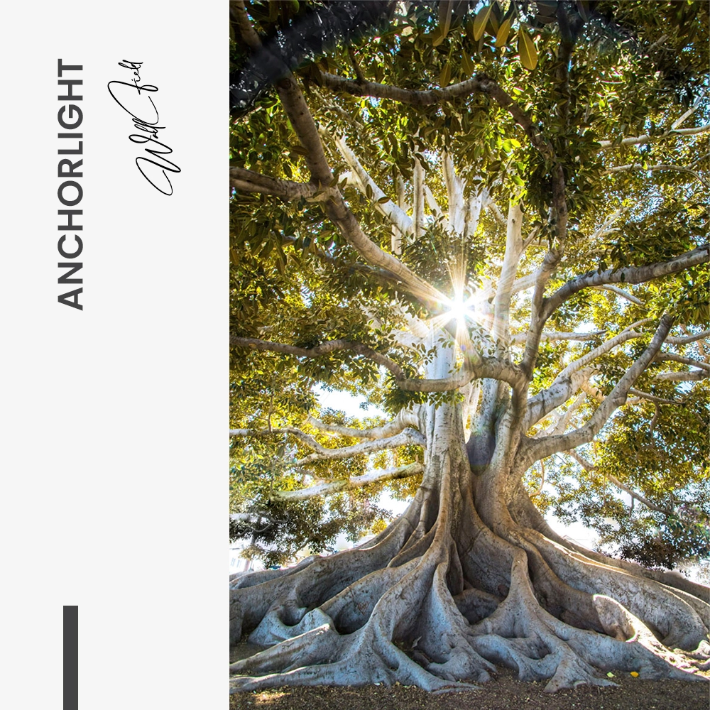 Anchorlight – Verre