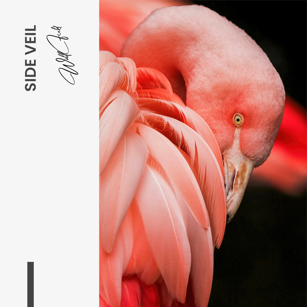 Side Veil – Verre