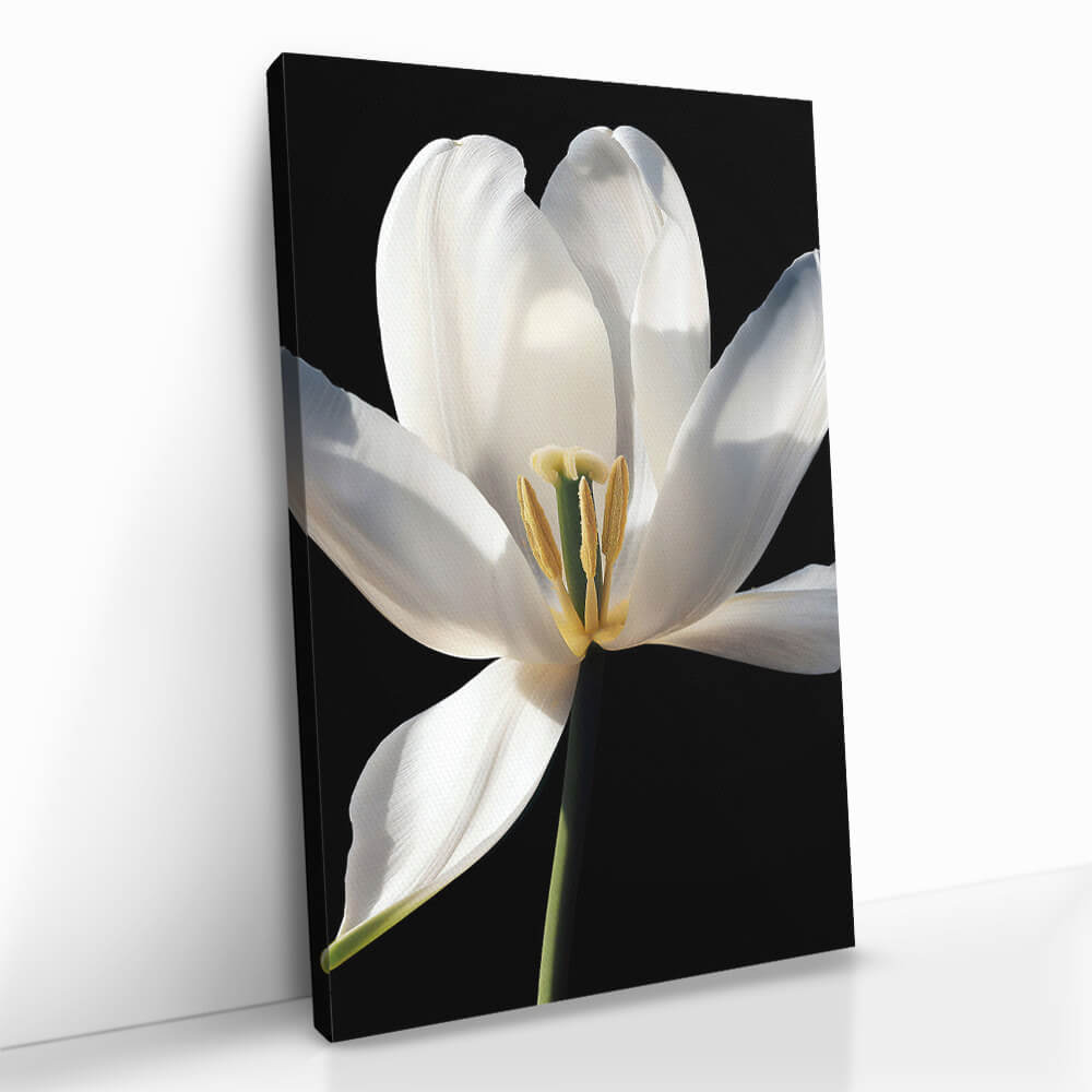 "White Flower"
