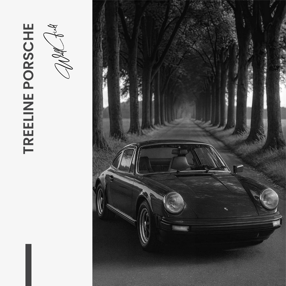 "Treeline Porsche"