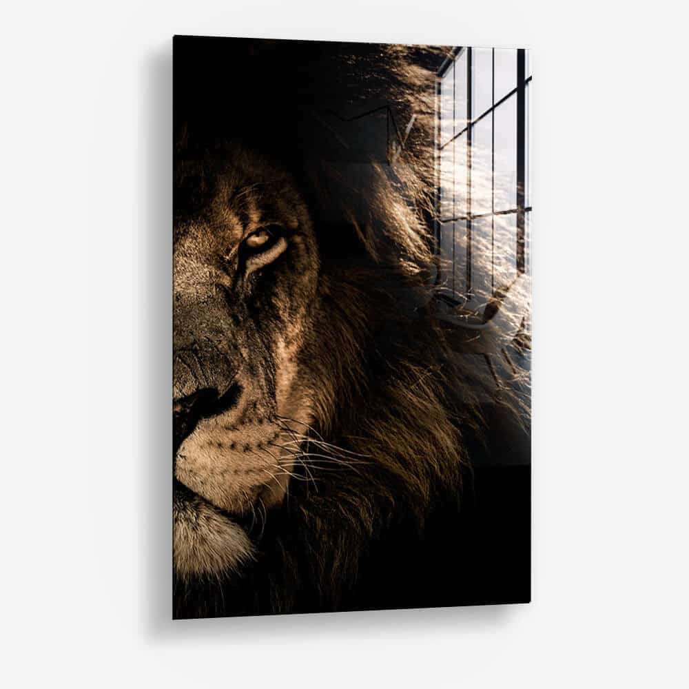 Lion in the Dark (2x) - Verre