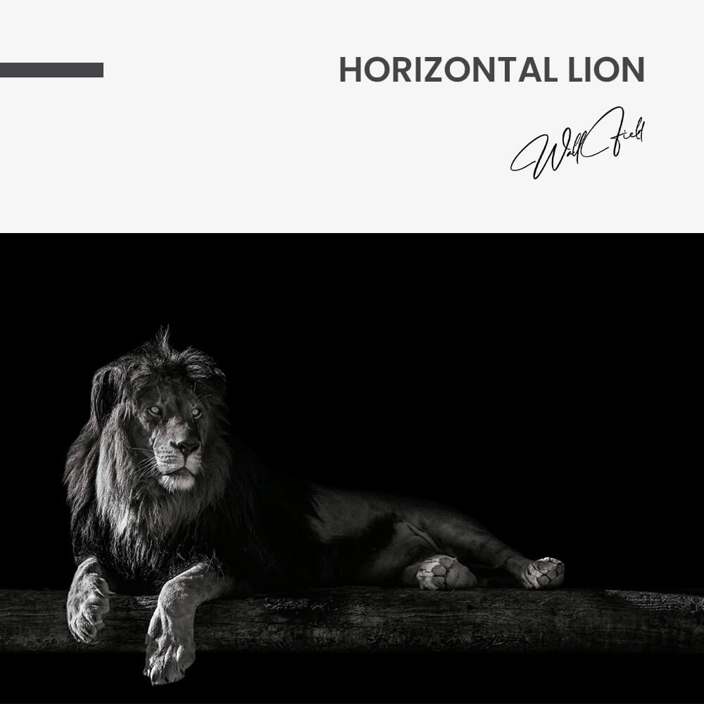 Horizontal Lion – Verre