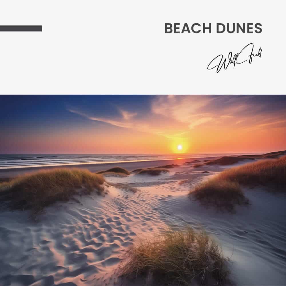 Beach Dunes – Verre