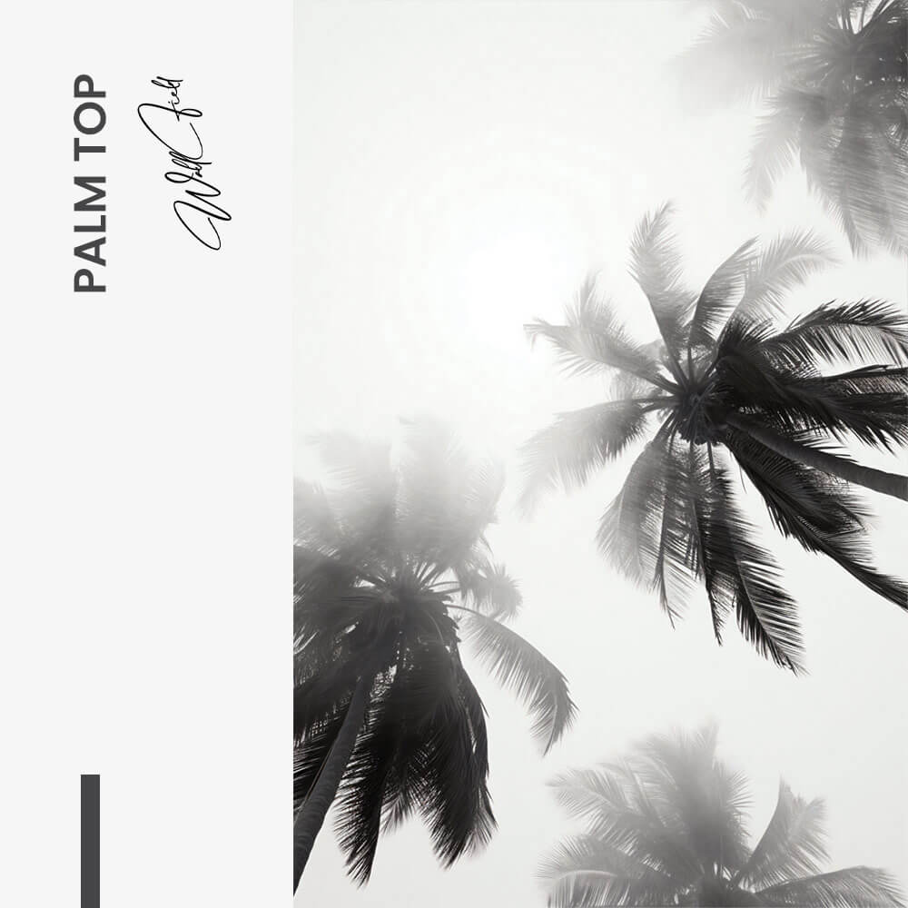 “Palm top”