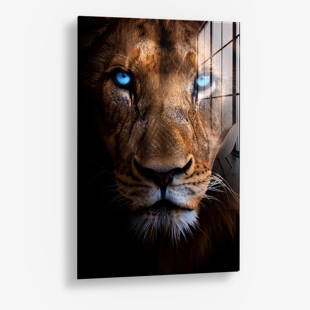 Lion's Close-up – Verre