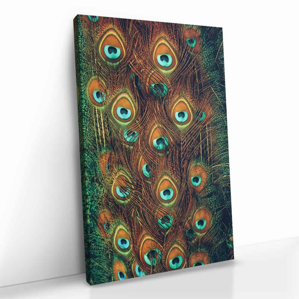 "Peacock Feathers"