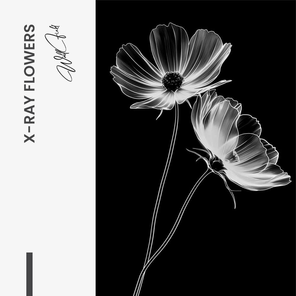 X-Ray Flowers – Verre
