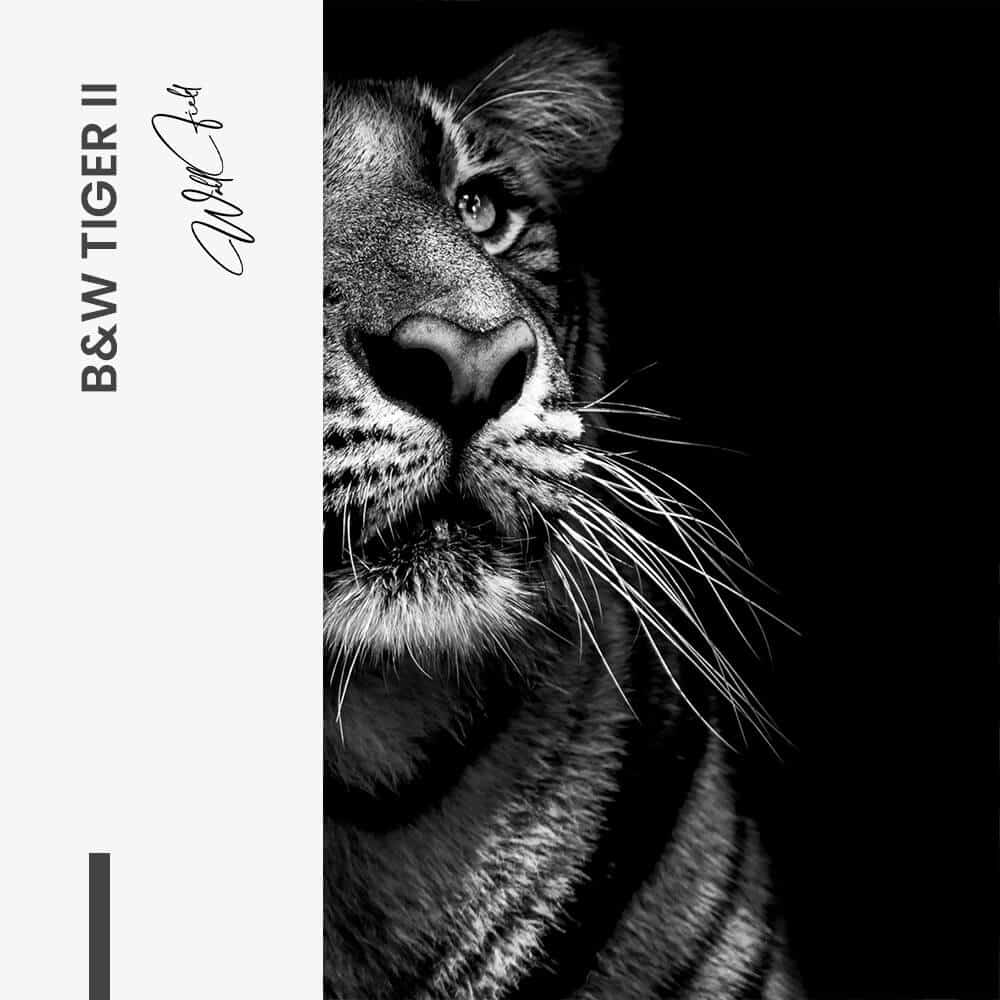 Bundle: "Tiger face" (2x)