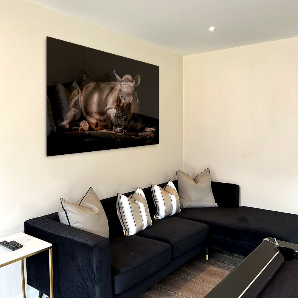 Rhino – Verre