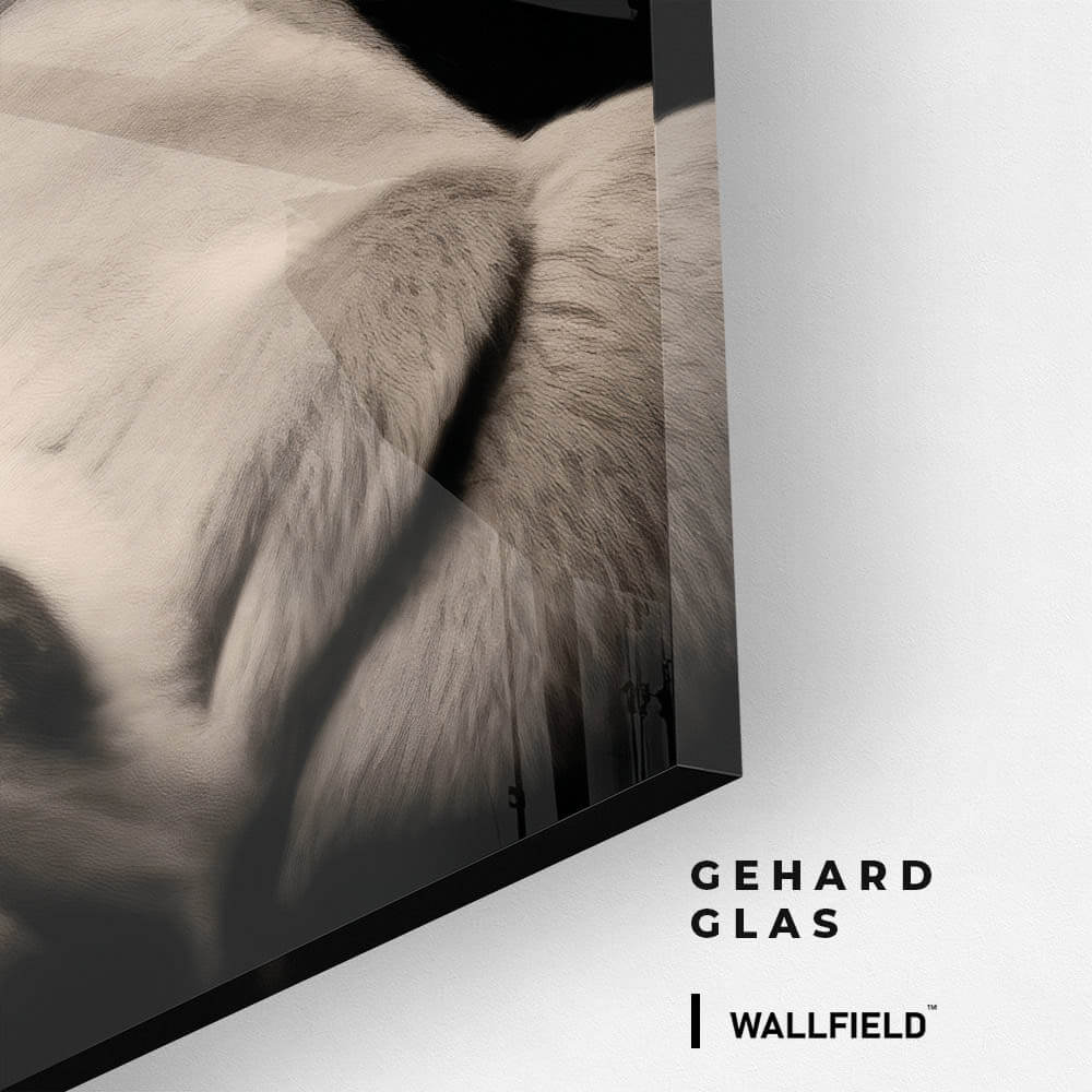 King of the Wild – Verre