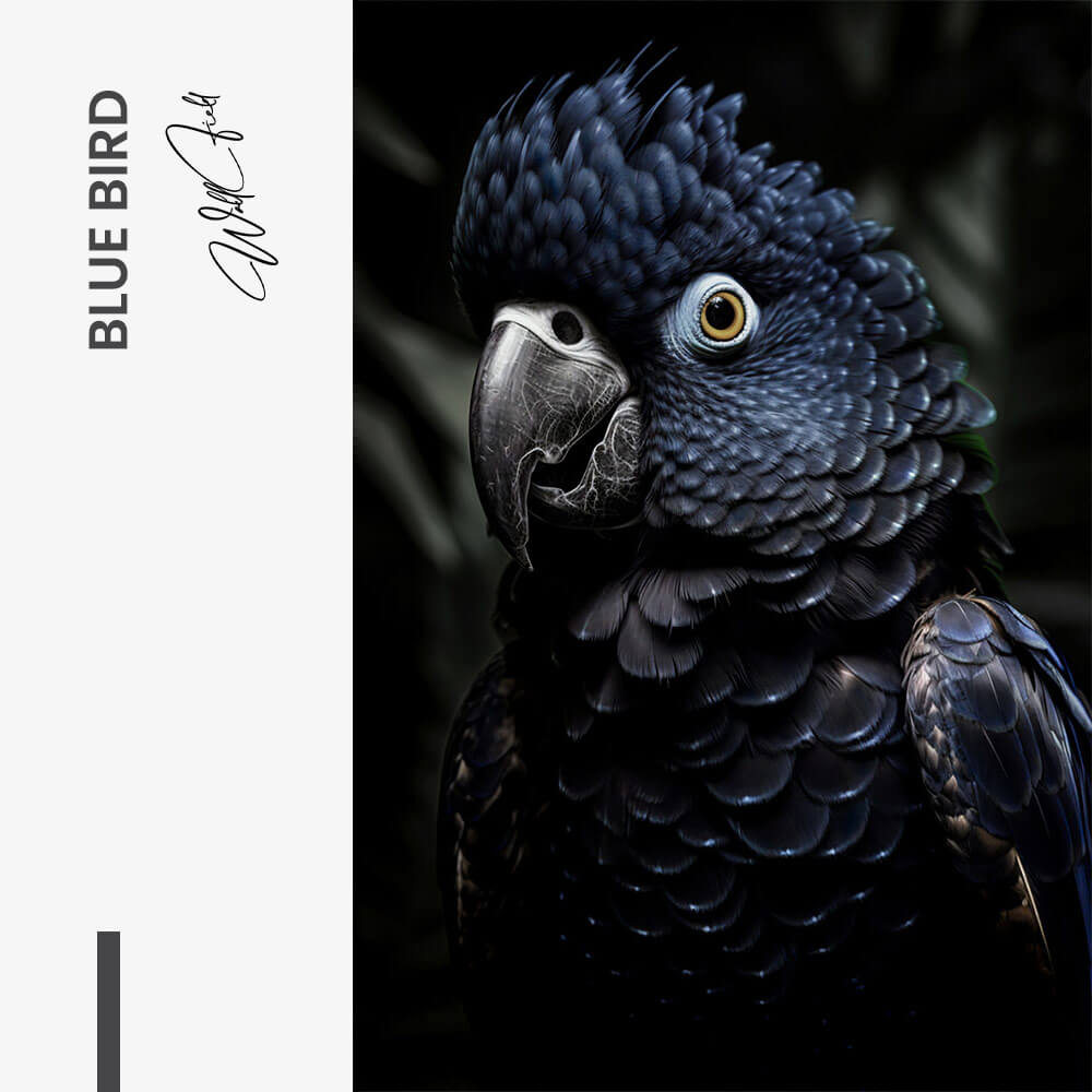 Blue Bird – Verre