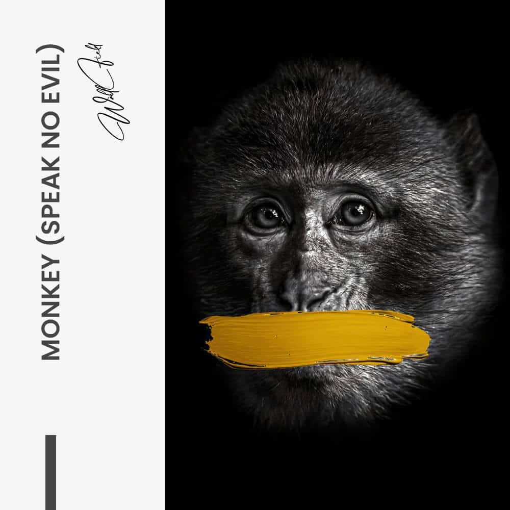 "Monkey (speak no evil)"