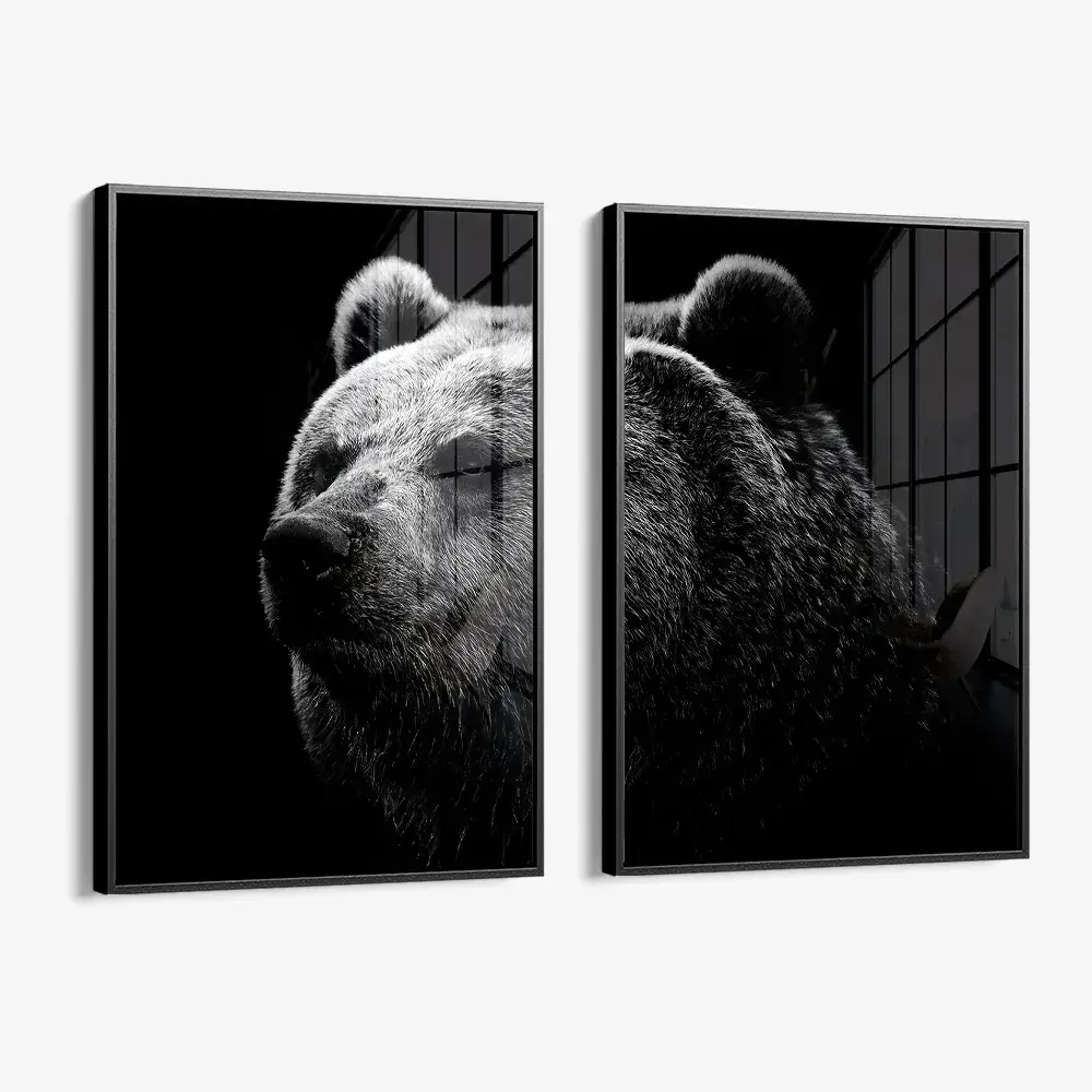 Bundle: "Big Bear" (2x) – Verre