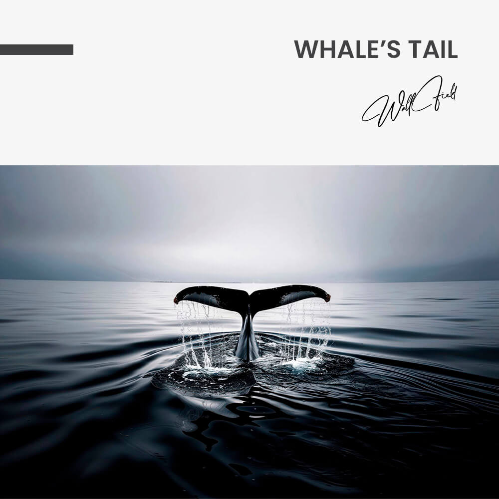 "Whale's Tail"