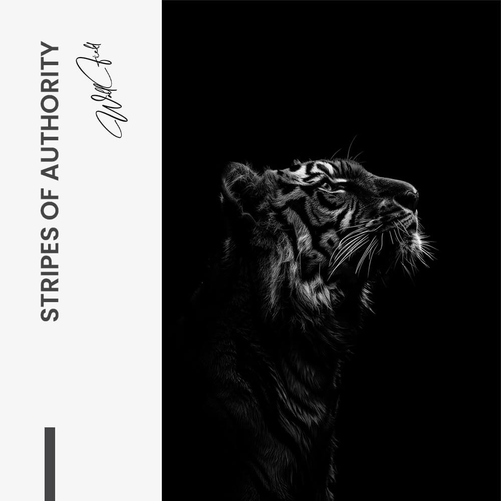 Stripes of Authority – Verre