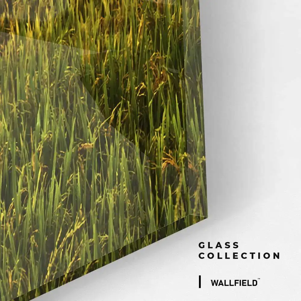 China - Verre