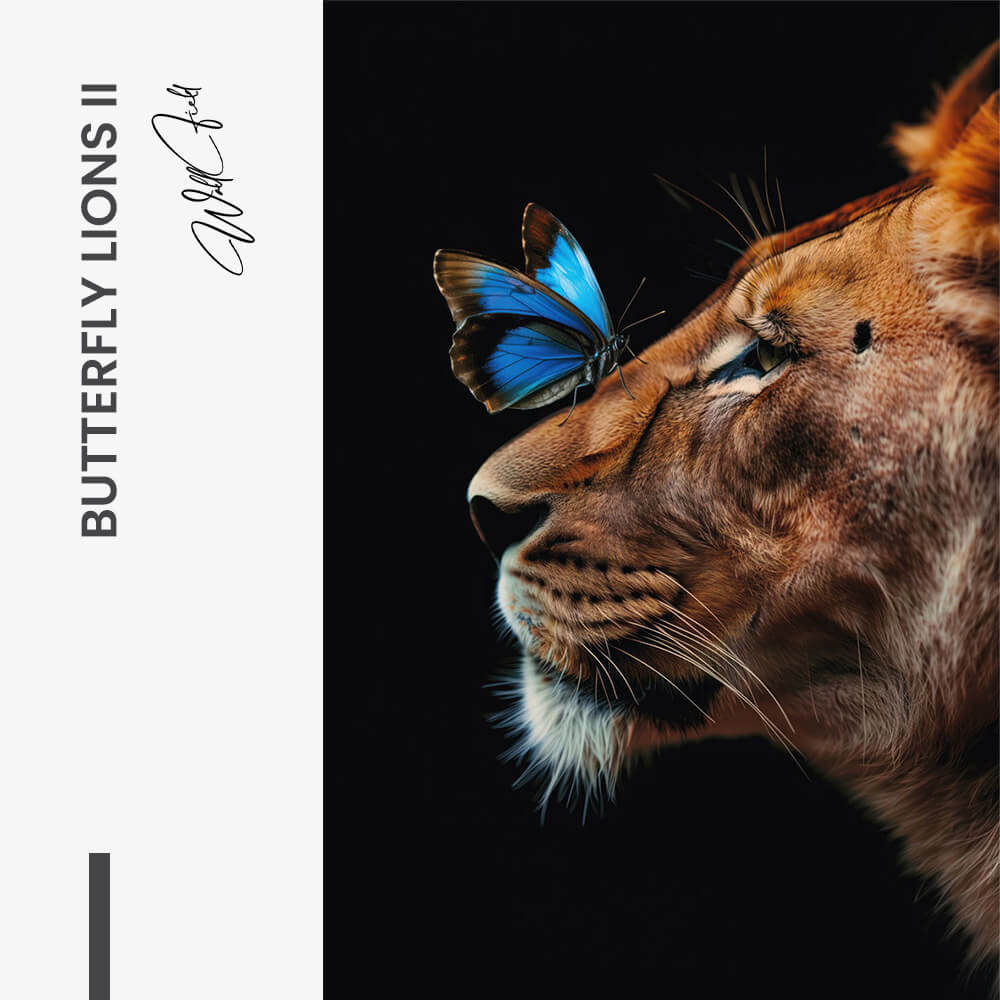 Butterfly Lioness – Verre