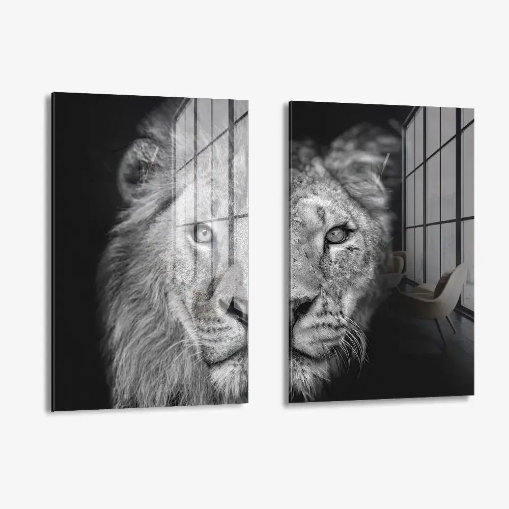 Bundle: "Wild Mirror" (2x) – Verre