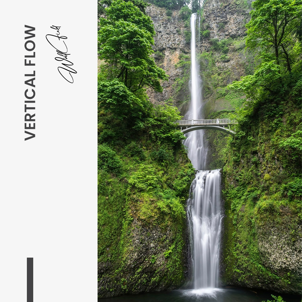 "Vertical Flow"