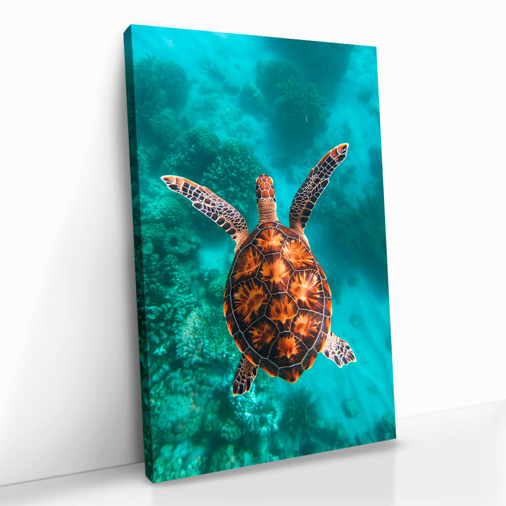 "Sea Turtle VT"