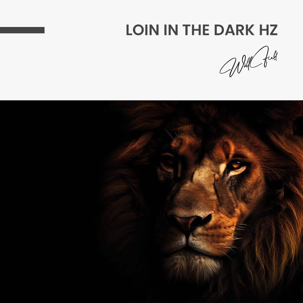 "Lion In The Dark HZ"