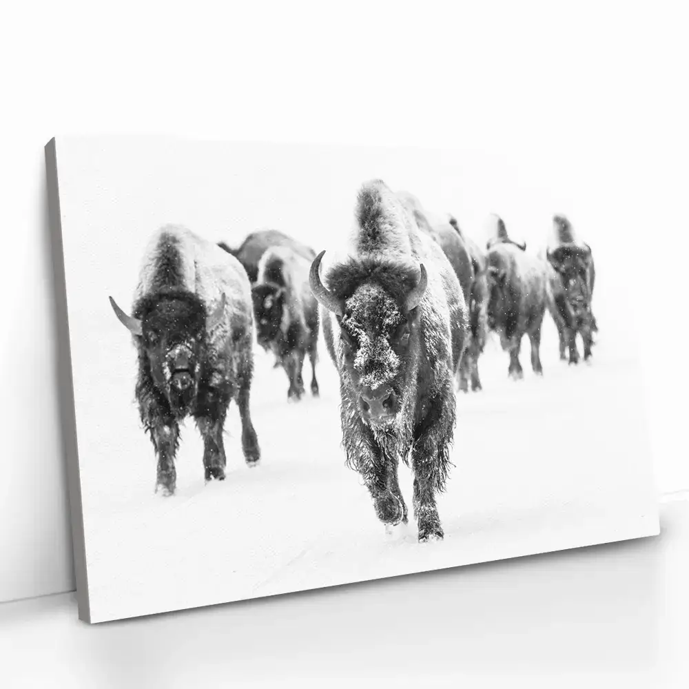 "Through the Snow"